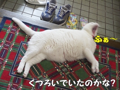 1アウトレット15.jpg