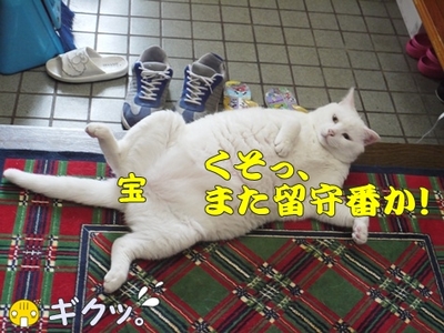 1アウトレット16.jpg