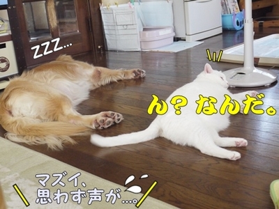 1トリック02.jpg