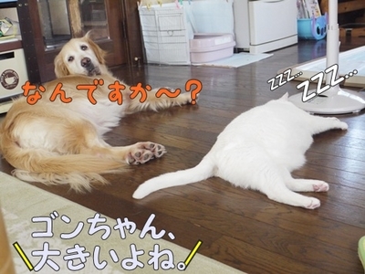 1トリック03.jpg