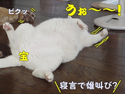 1トリック04.jpg