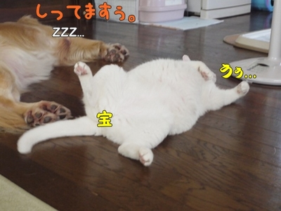 1トリック06.jpg