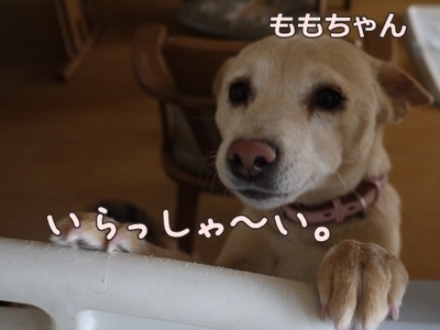 1トリミング202.jpg