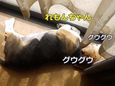 1トリミング205.jpg