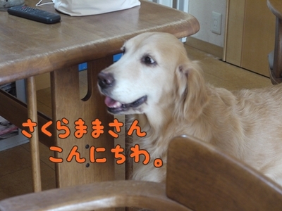 1トリミング206.jpg