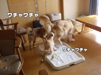 1トリミング208.jpg