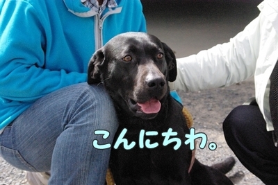 1トリミング301.jpg