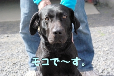 1トリミング302.jpg
