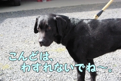 1トリミング304.jpg