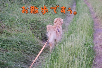 1プーちゃん01.jpg