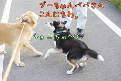1プーちゃん03.jpg