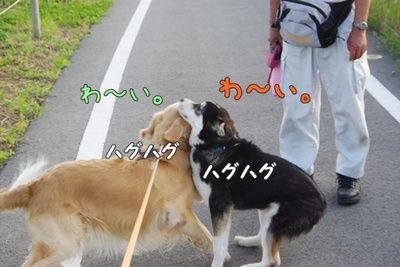 1プーちゃん04.jpg