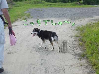 1プーちゃん08.jpg