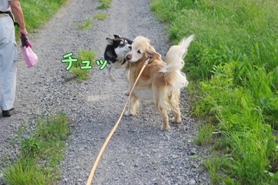 1プーちゃん09.jpg