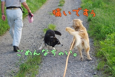 1プーちゃん10.jpg