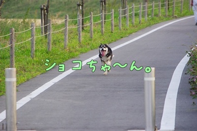 1プーちゃん20.jpg