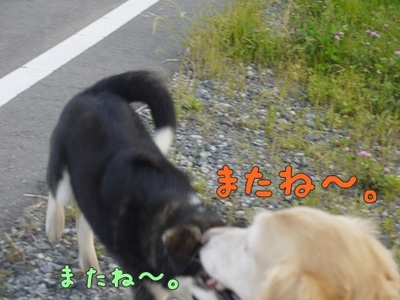 1プーちゃん22.jpg