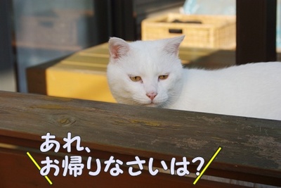 1プーちゃん23.jpg