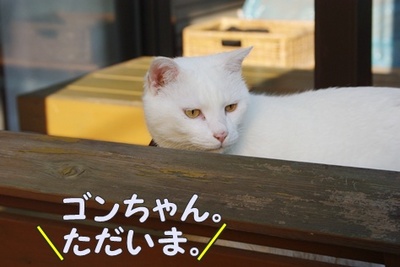 1プーちゃん24.jpg