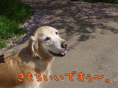 1ホーーケキョ05.jpg