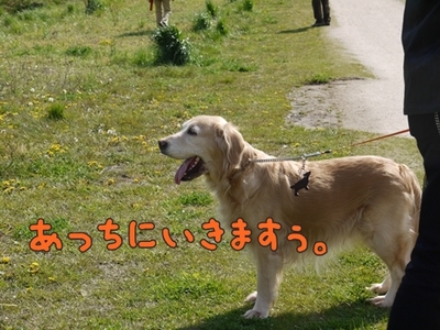 1ホーーケキョ07.jpg