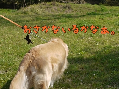 1ホーーケキョ08.jpg