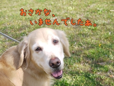 1ホーーケキョ10.jpg