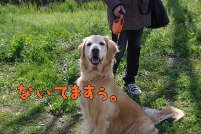 1ホーーケキョ11.jpg