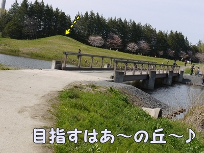 1ホーーケキョ12.jpg