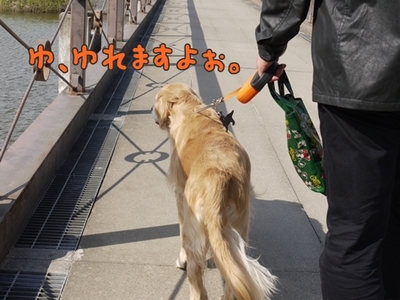 1ホーーケキョ13.jpg