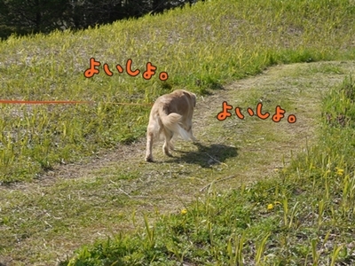 1ホーーケキョ15.jpg