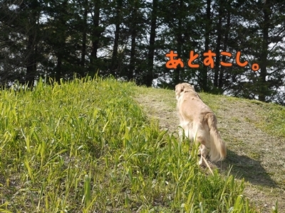 1ホーーケキョ16.jpg