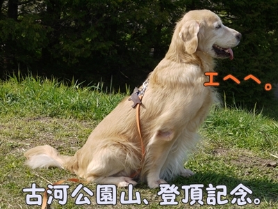 1ホーーケキョ17.jpg