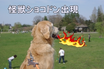 1ホーーケキョ18.jpg