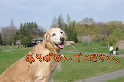 1ホーーケキョ19.jpg