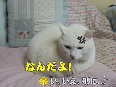 1ホーーケキョ25.jpg