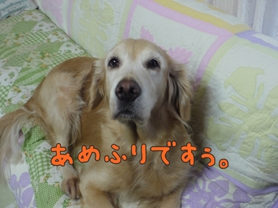 1雨の日は04.jpg