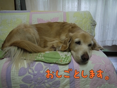 1雨の日は05.jpg