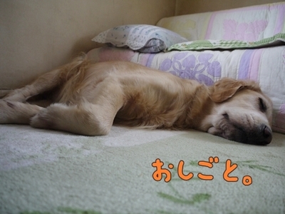 1雨の日は06.jpg