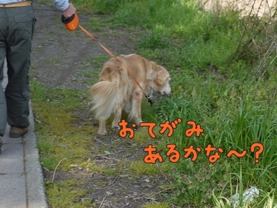 1雨の日は10.jpg