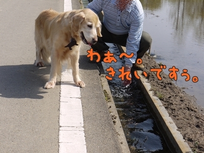 1雨の日は11.jpg
