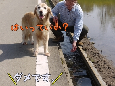 1雨の日は12.jpg