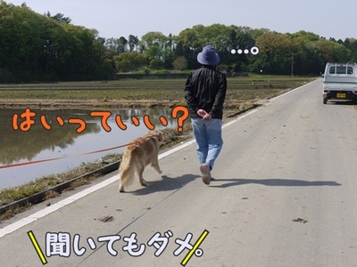 1雨の日は13.jpg