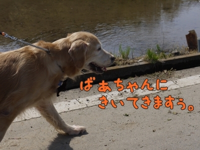 1雨の日は14.jpg