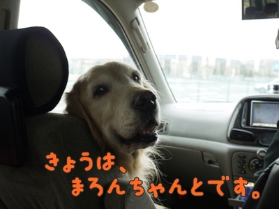 1永野川01.jpg