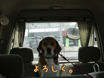 1永野川02.jpg