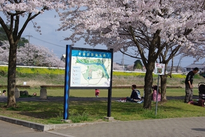 1永野川03.jpg