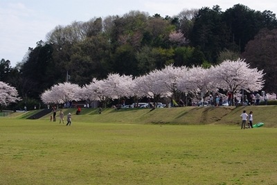 1永野川04.jpg