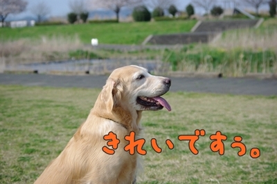 1永野川05.jpg