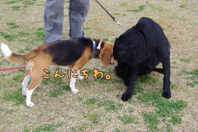 1永野川07.jpg